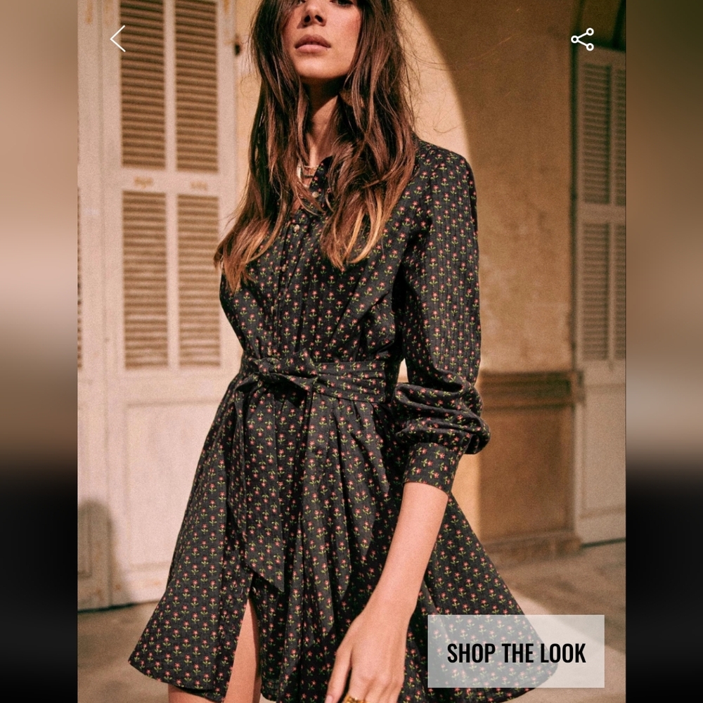 Sezane 100% Organic Cotton Sol Dress